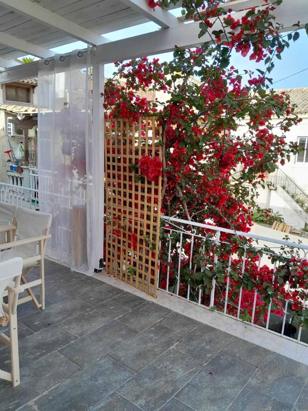شقة Archontissa Sea View House Mesongí المظهر الخارجي الصورة
